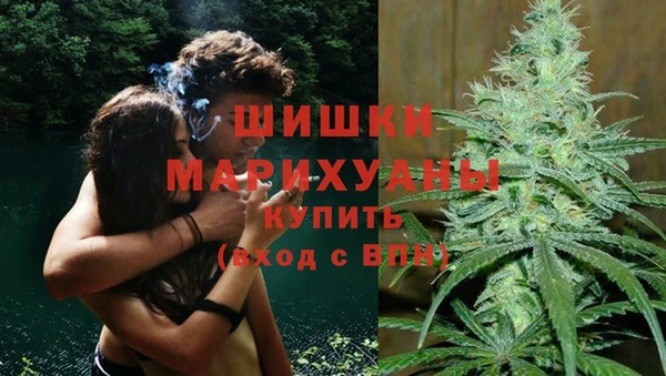 дживик Аша