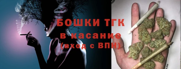 гашик Богородск