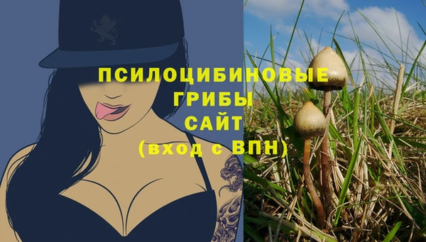 гашик Богородск