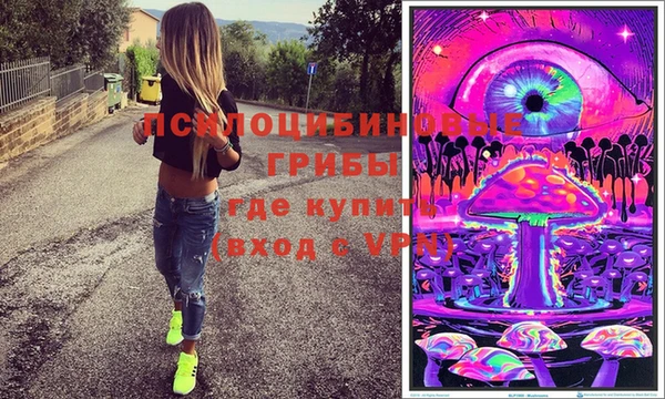 стафф Богданович