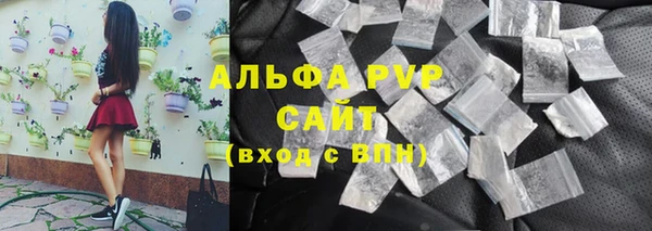 стафф Богданович